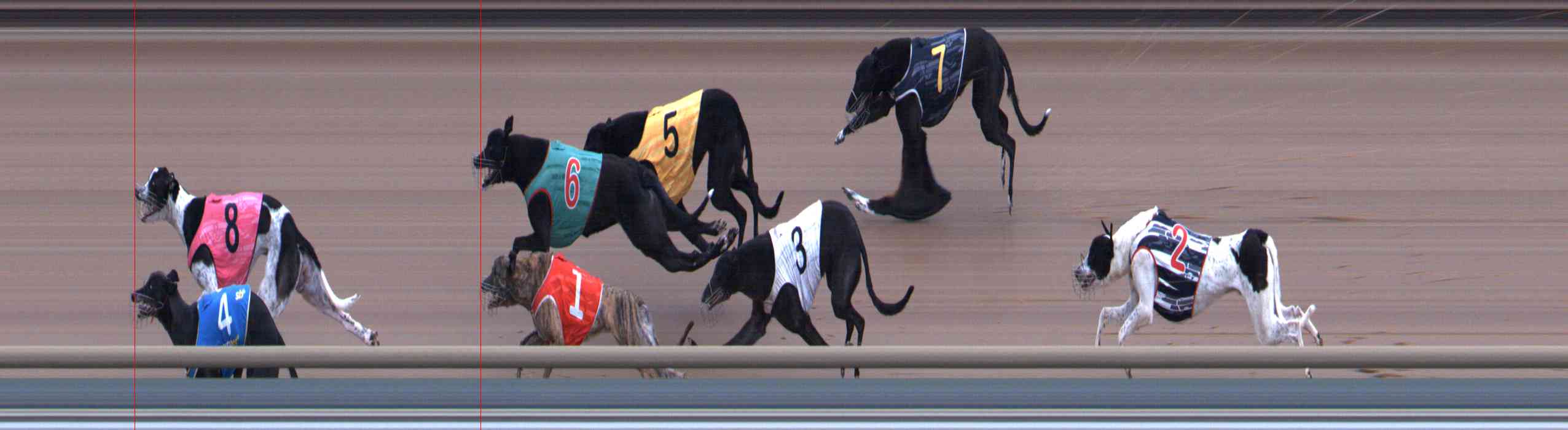 Race result finish photo